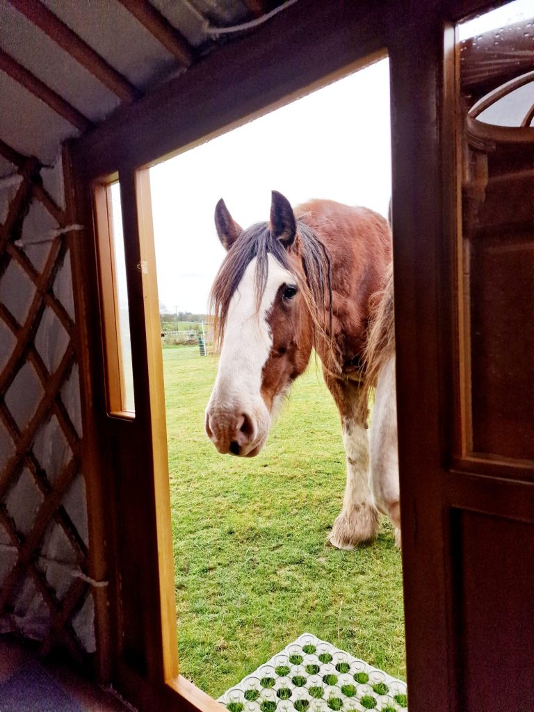 4176d113-d525-4a3e-8f23-b111b44fce16